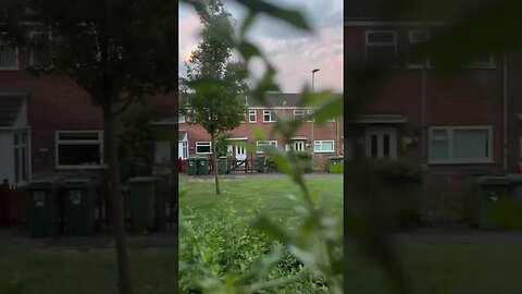 First video of the day might not be too many as it’s going to be a very hot 🥵 in my area