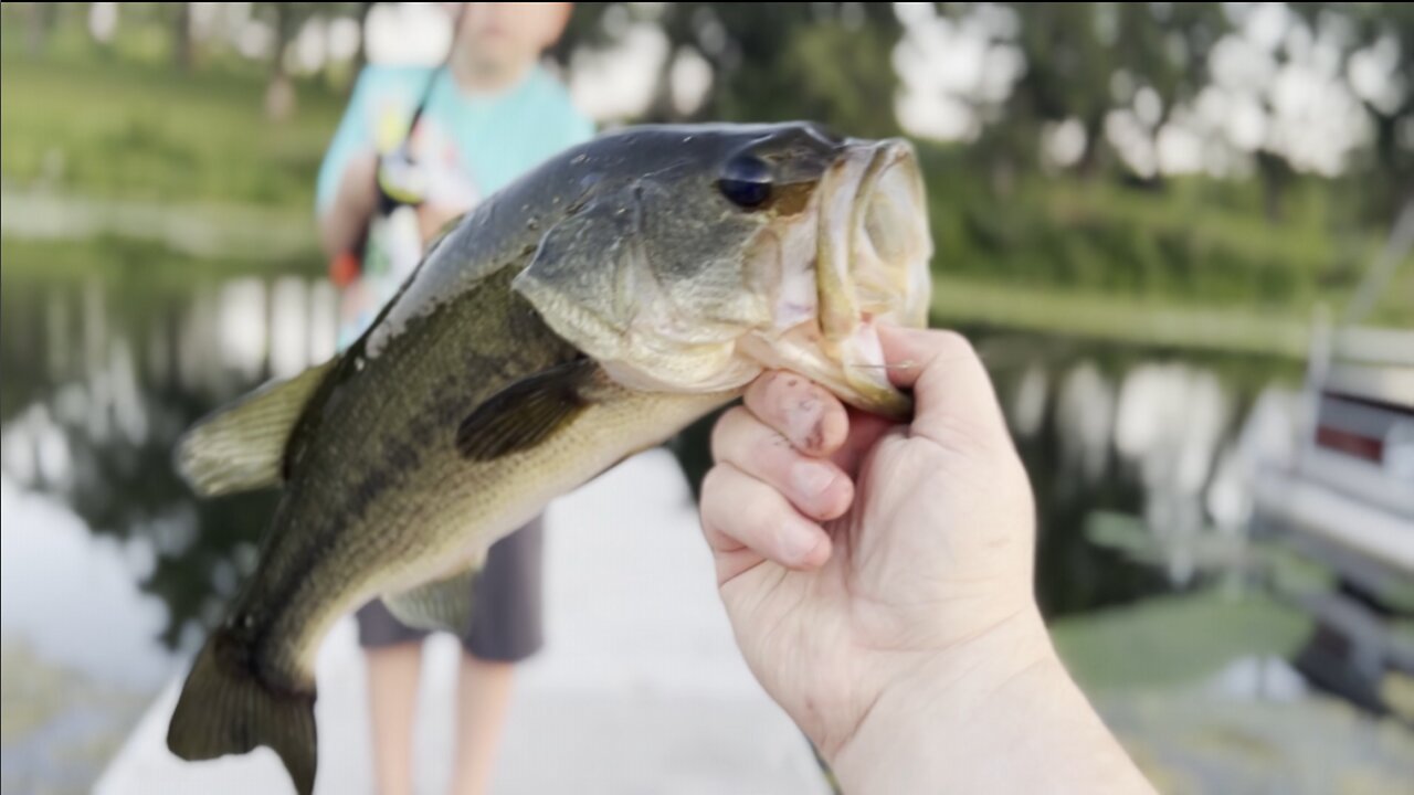 Blitzing the Bluegill with some surprise catches - 9 year old SLAYING them