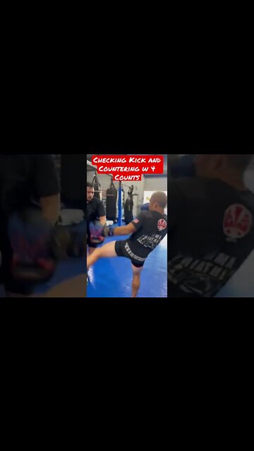Checking and Countering Kicks w 4 Counts