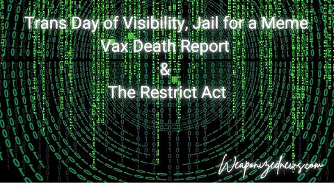 Trans Day of Visibility, Jail for a Meme, Vax Death Report & The Restrict Act