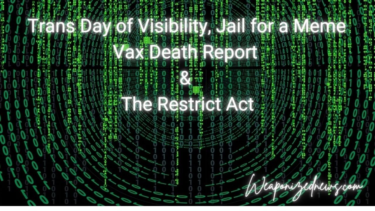 Trans Day of Visibility, Jail for a Meme, Vax Death Report & The Restrict Act