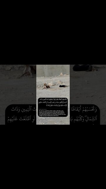 Miracle Happened While I Was Reciting Quran