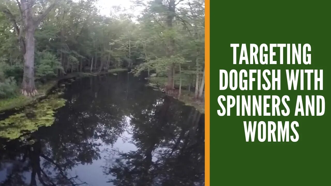 Targeting Dogfish With Spinners And Worms / Bowfin Fishing Michigan Rivers / Michigan River Fishing