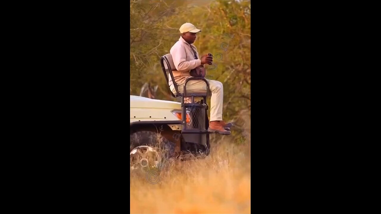 The man with a lion.