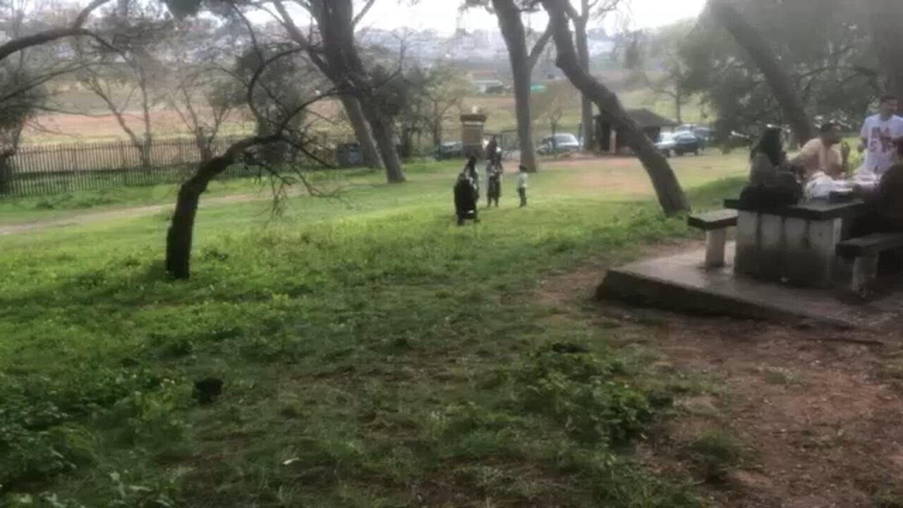 Part 2