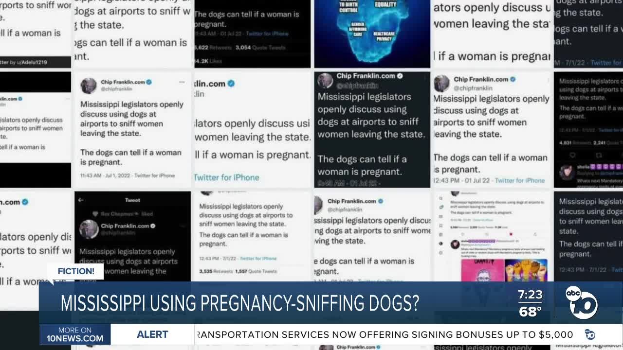 Fact or Fiction: Mississippi legislators discuss using pregnancy-sniffing dogs?