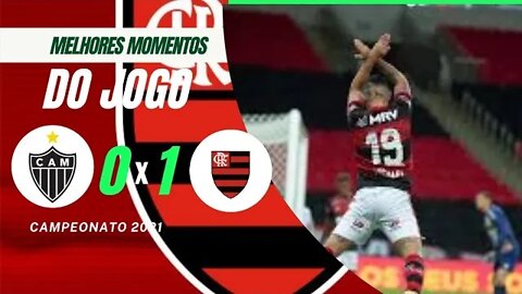 Flamengo 1 X 0 Atlético-Mineiro. Gol do Michael