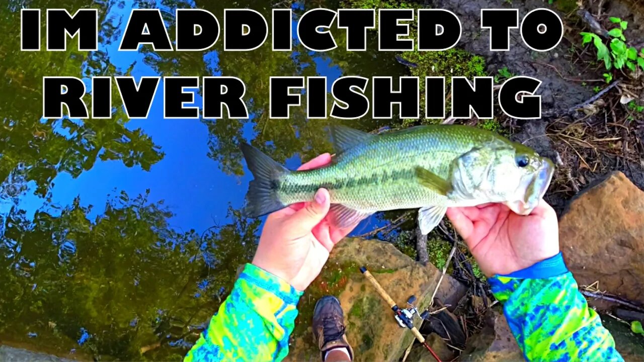 Bass Can’t Resist a Bluegill Swimbait!