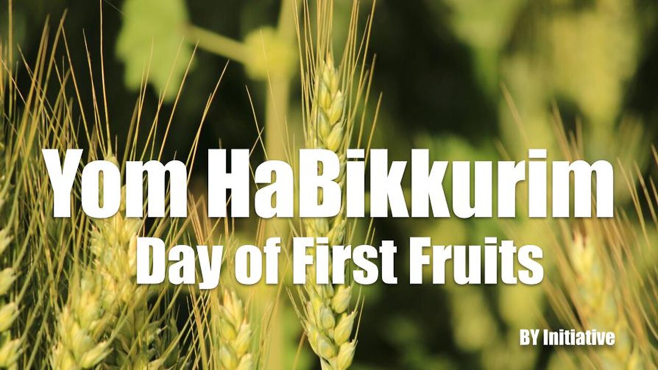 Mo'edim | Yom HaBikkurim | Day of First Fruits