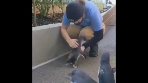 The world needs this more..