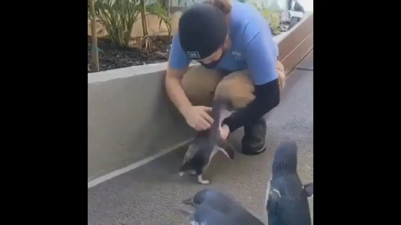 The world needs this more..