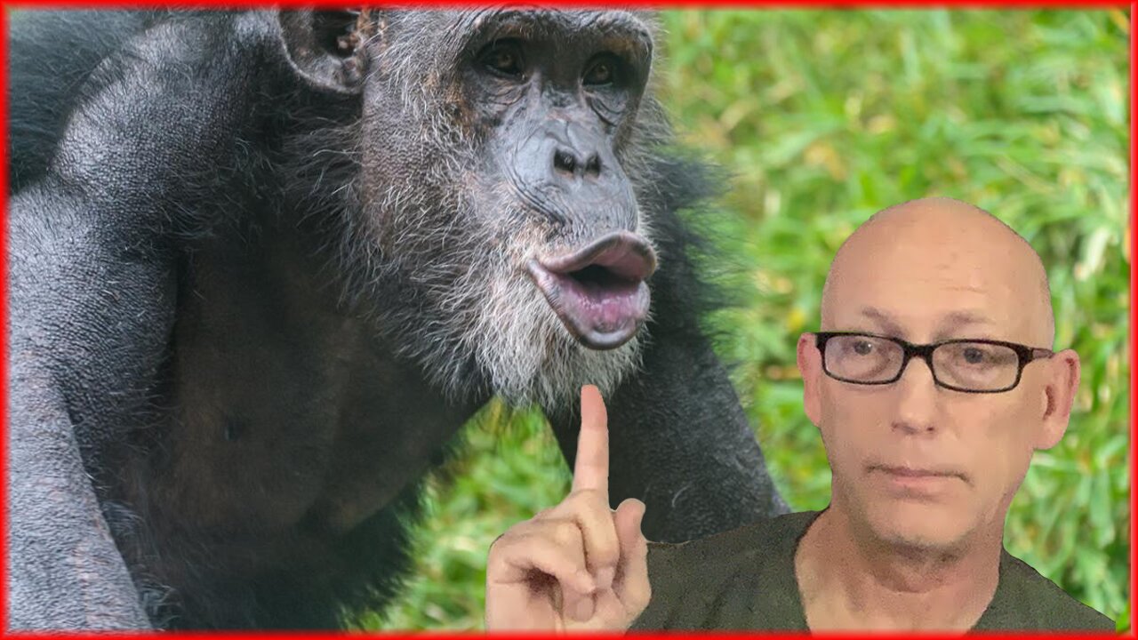 CLOT ADAMS EDITION - WE SOLVED THE PROBLEM WE CREATED, NEW NAZI FILM, CART NARC, SCOTT ADAMS