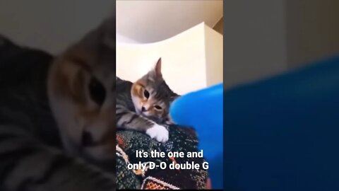 MEME IS the one and only D-O double G #shorts