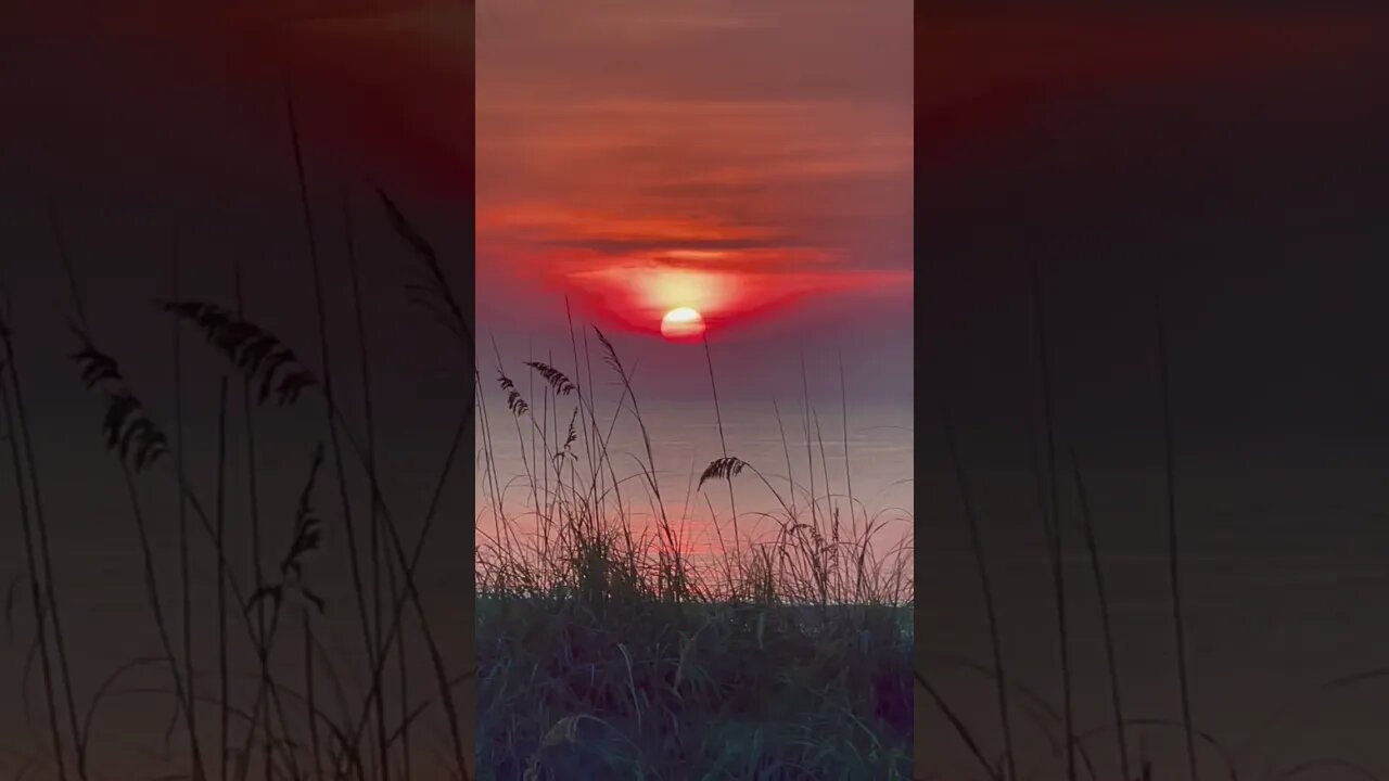 15 seconds of bliss! Beautiful Florida Ocean Sunrise 🌞 #shorts