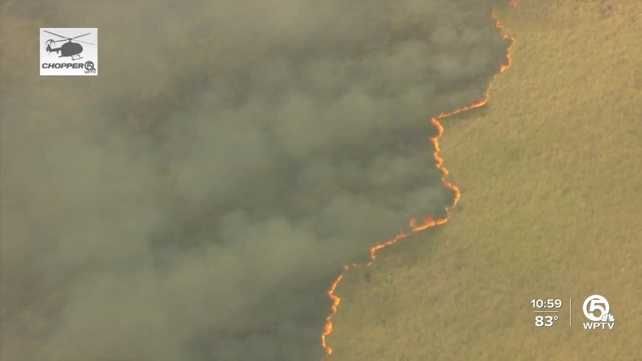 More than 9,000 acres burn in Everglades wildfires