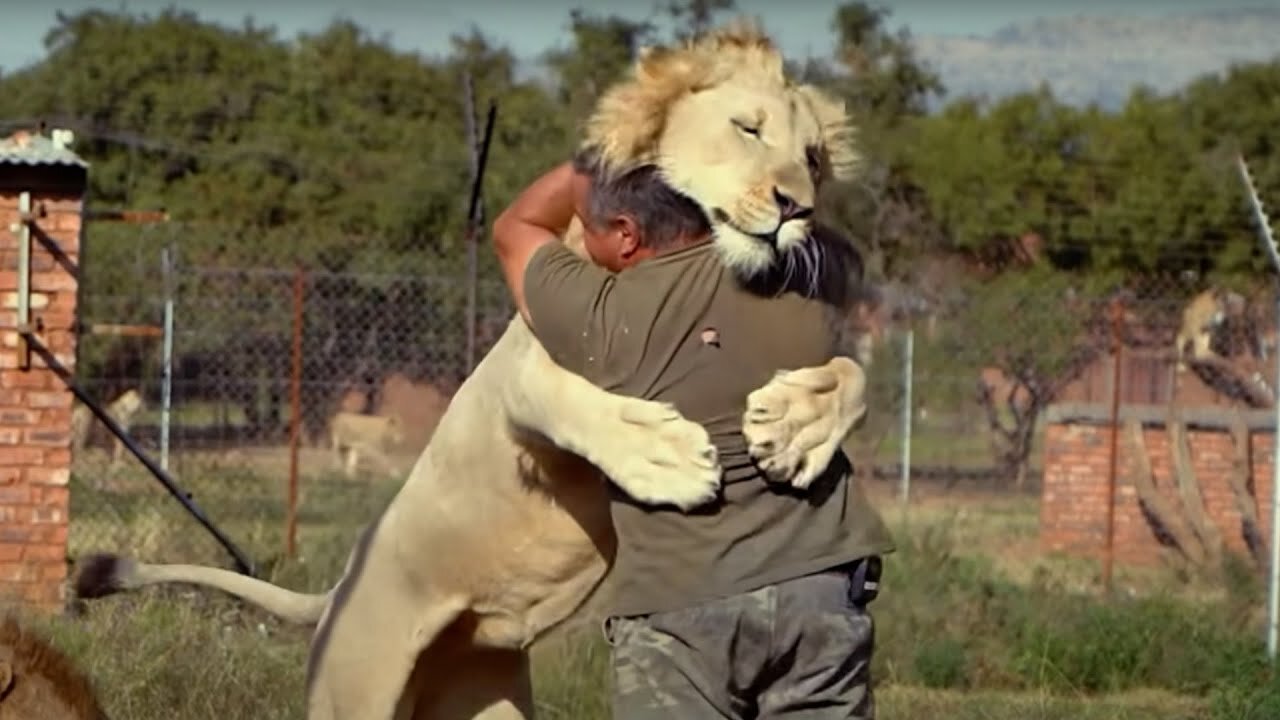 Animals Reunited With Owners AFTER YEARS!