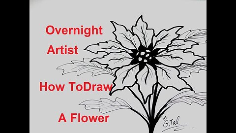 DRAW CHRISTMAS FLOWERS ADVANCED DRAWING