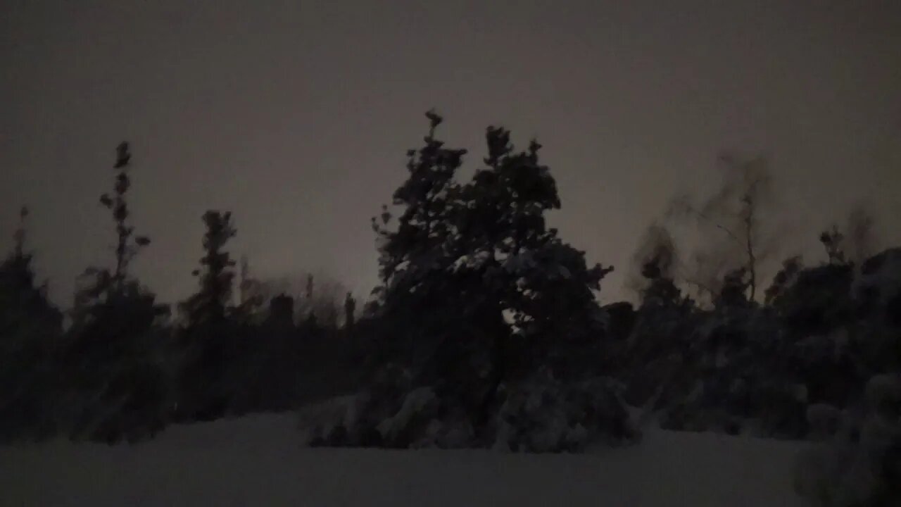 Winter: Early morning walk in fresh snow