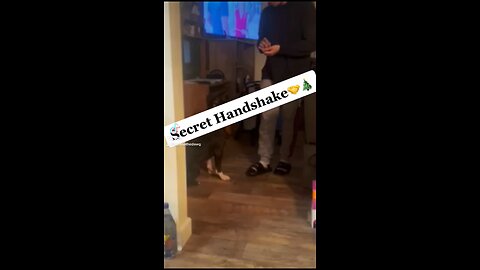 Secret Handshake