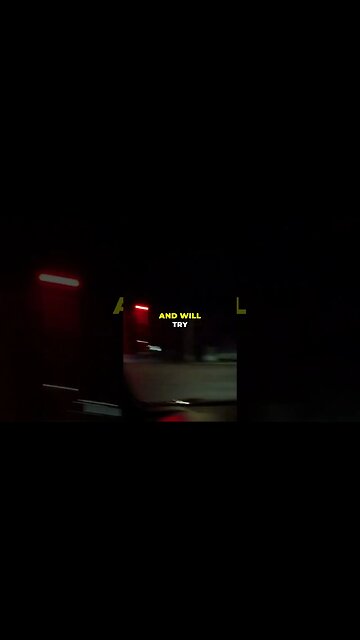 Reddit AITA (Am I the Jerk) Walking Cats