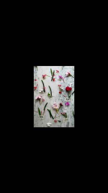 Party 🎉 Night 🌃