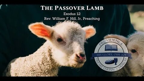 The Passover Lamb