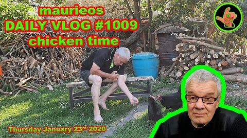 maurieos DAILY VLOG #1009 chicken time