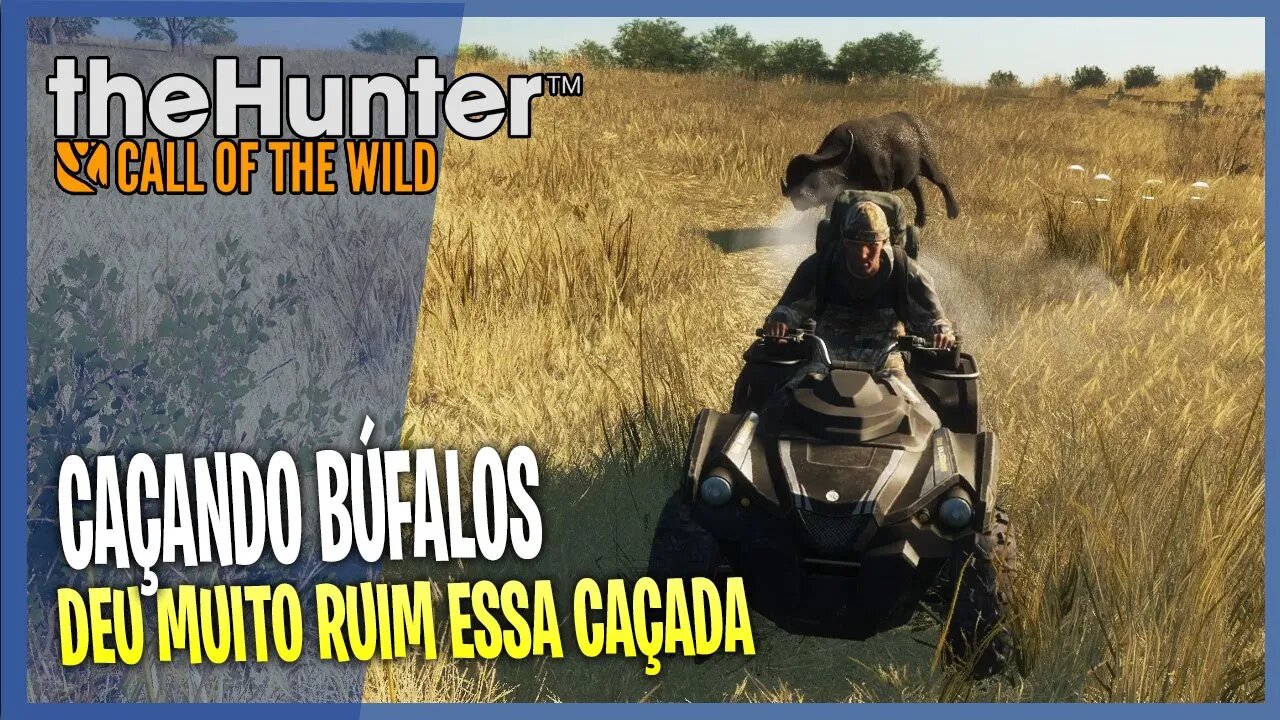 CAÇANDO BÚFALOS DE QUADRICICLO DEU MUITO RUIM THE HUNTER CALL OF THE WILD ONLINE