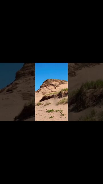 A large Sand dune where birds live