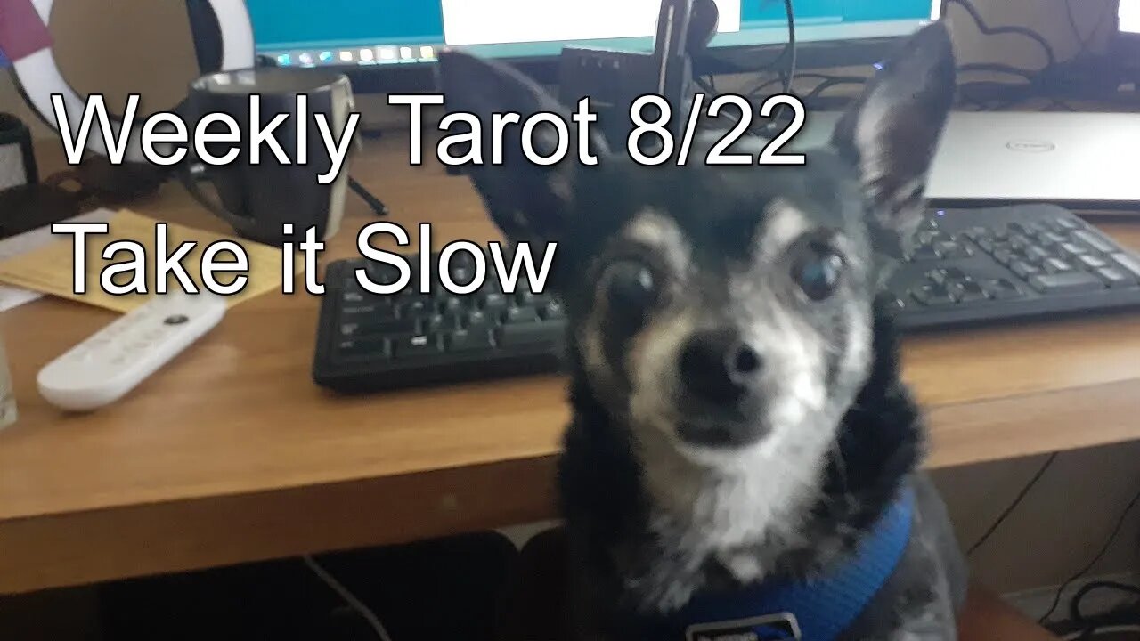 Weekly Tarot 8/22 -8/28