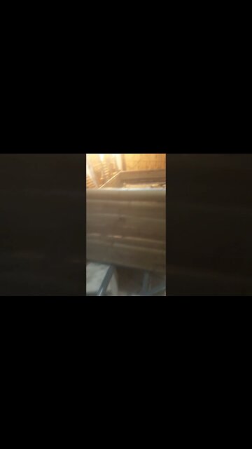 carretinha de bambu mosso #shorts