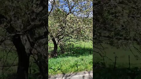 Heading towards Orapiu.