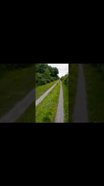 racing a wild deer on a rural trail in western NY while riding an electric unicycle