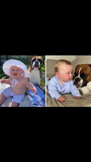 Best friends: Baby and doggy share special bond