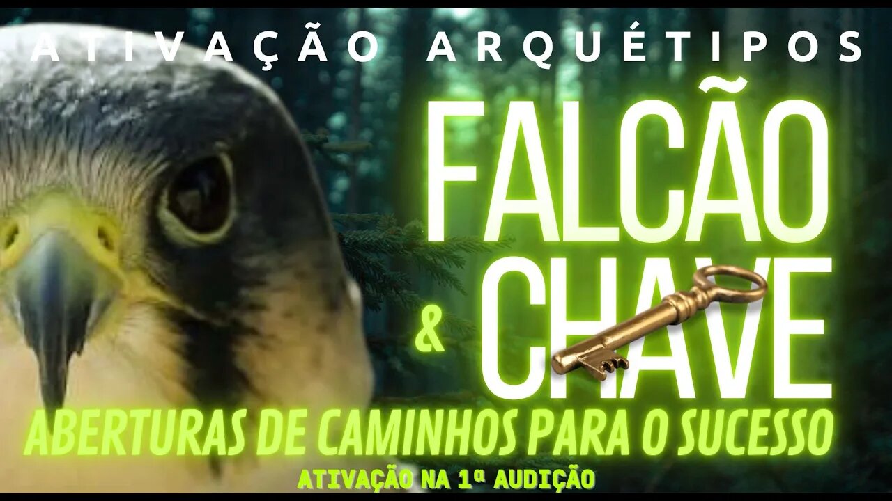 Ativação imediata arquétipo Falcão+ Chave