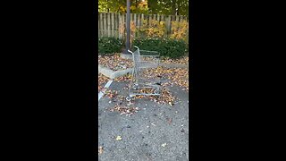 WHO SENT YOU? Shopping Cart