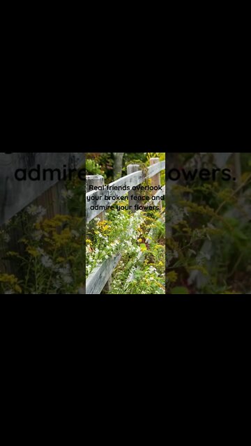 Real Friends Overlook