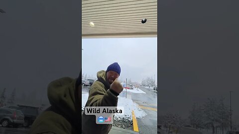 🚨Call The Cops…Use of Force #shorts #crime #alaska