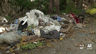 'We can’t afford to dump it': Man caught illegally dumping explains why he did it