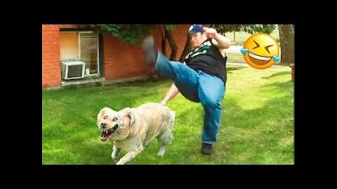 Troll Prank Dog Funny & fake Lion and Fake Tiger Prank To dog & Huge Box Prank to dog