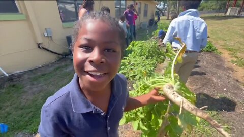 USF anthropologists teach grade-schoolers in South St. Pete how to love vegetables