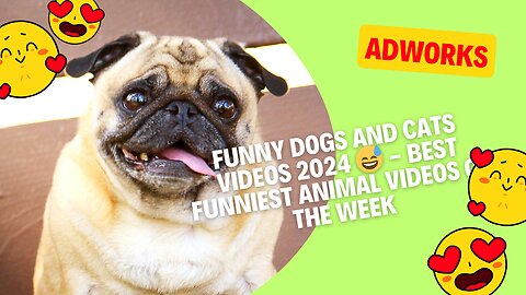 "😄 Funny Animals Club Rumble 🤣