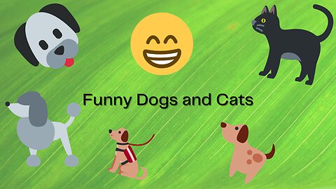 Funniest Dogs ana Cats