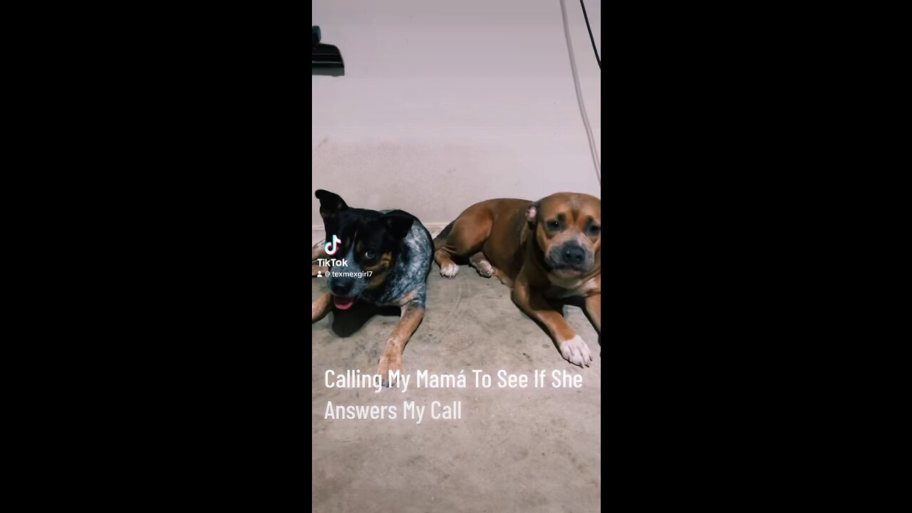 Calling Our Mommy To See If She Answers