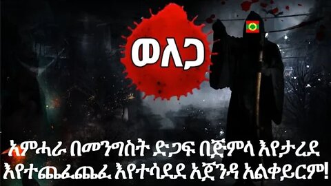 አምሓራ በመንግስት ድጋፍ በጅምላ እየታረደ እየተጨፈጨፈ እየተሳደደ አጀንዳ አልቀይርም!