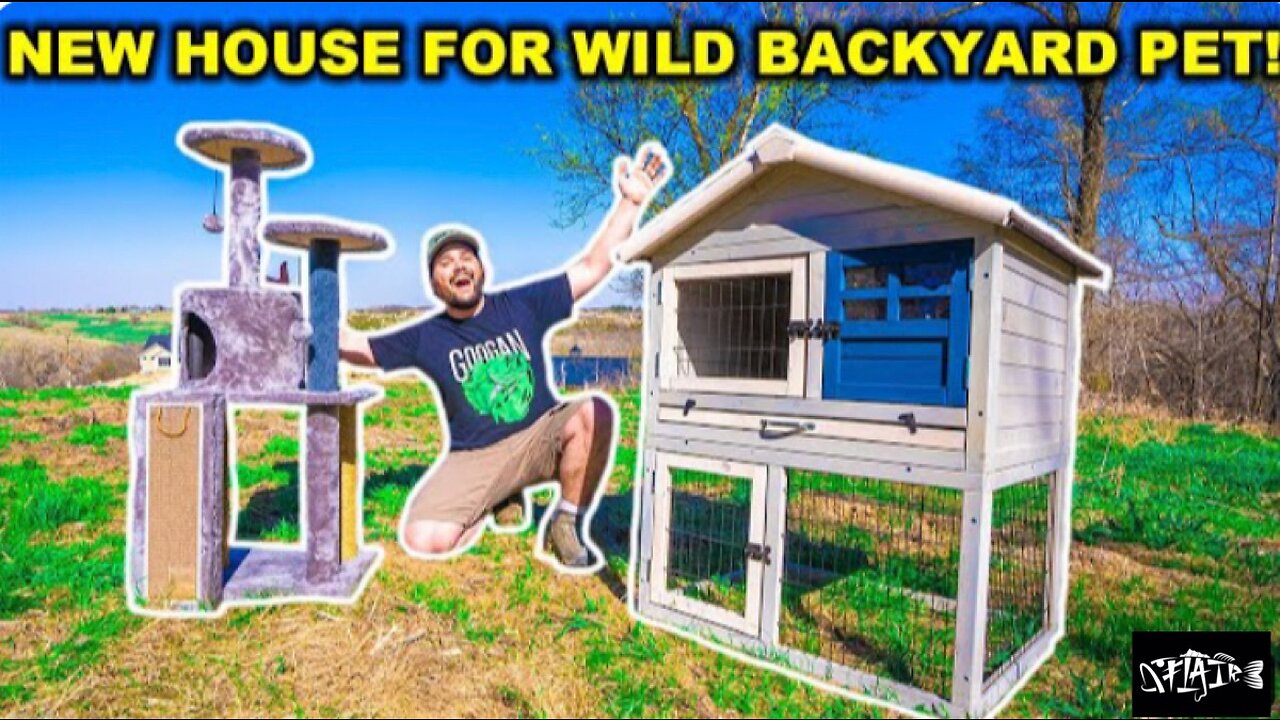 Building my WILD backyard PET a HOUSE (we got a new creator on the trail cam)