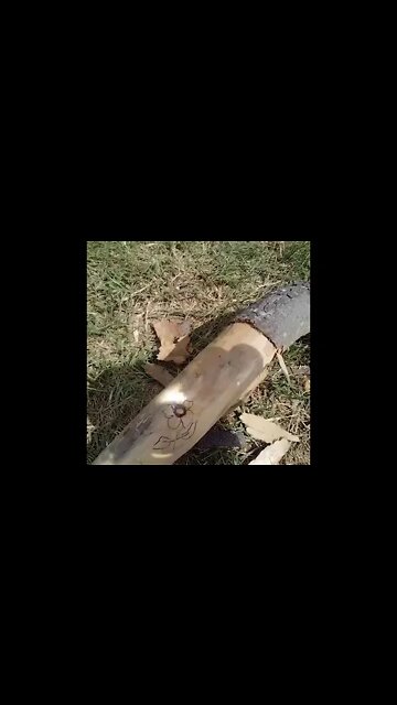 Watch That Beautiful Solar Pyrography in 59 Seconds