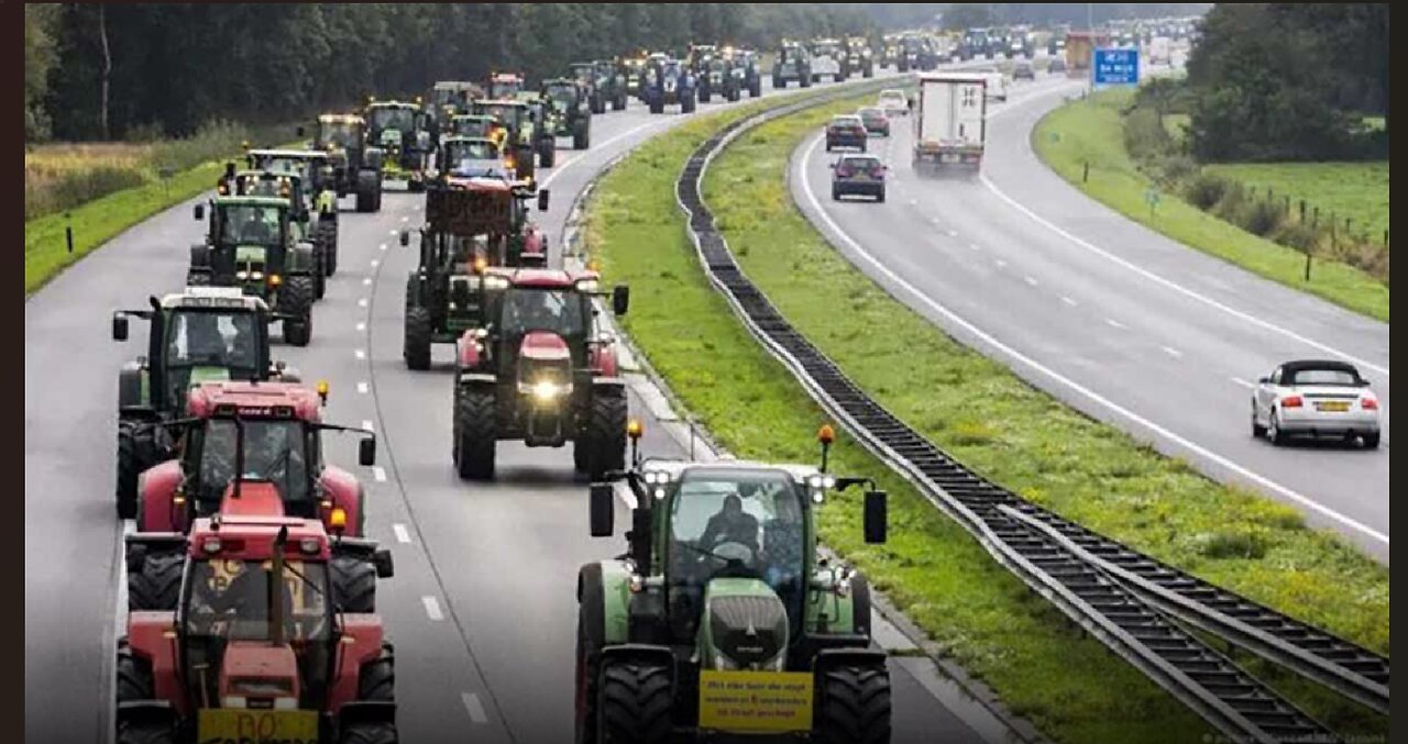 Przeciwstawiając się zakazowi, holenderscy rolnicy używają traktorów,