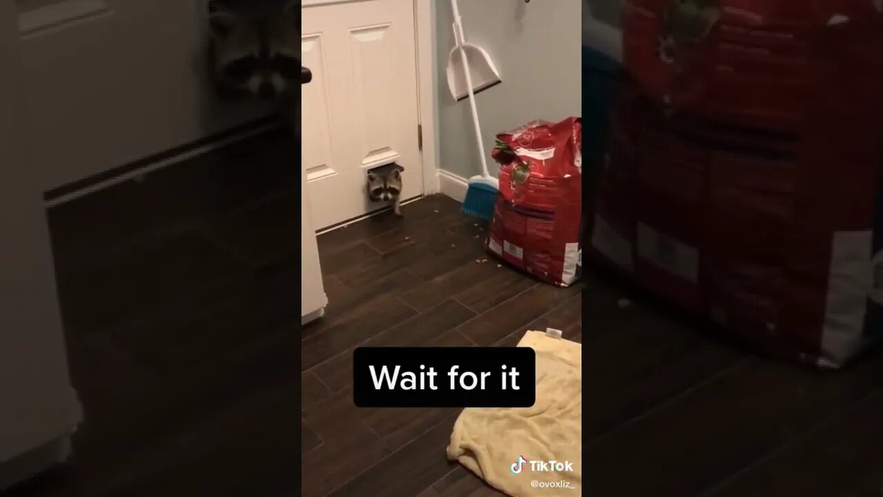 You saw nothing