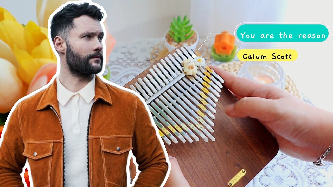 Calum Scott - You Are The Reason | Kalimba Cover